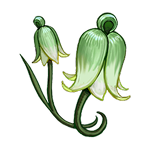 Maiden's Veil Bloom & your Envoy name in the Eternium Gardens